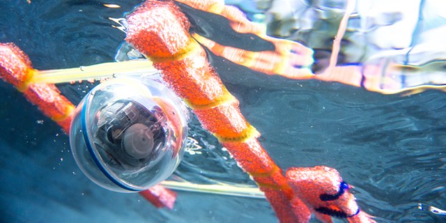 SXSW EDU Playground photo provided by Sphero Edu.