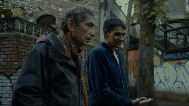 The Wisdom of Trauma