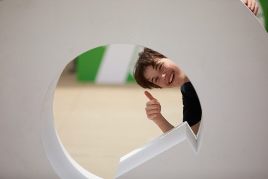 The Rebirth of School